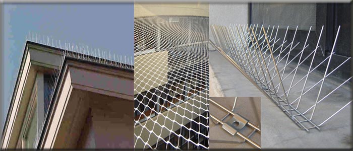 أسعار طارد الحمام في السعودية شركة مكافحة الحمام بالأحساء