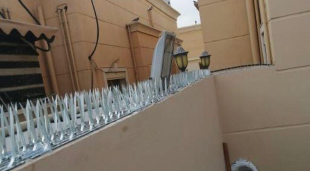 شركات تركيب طارد الحمام بجدة طارد الحمام بالدمام 4