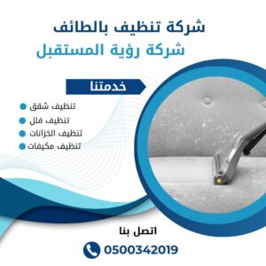 شركة تنظيف كنب بالطائف