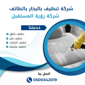 شركة تنظيف كنب بالبخار بالطائف