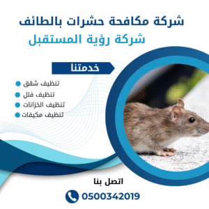 افضل شركة مكافحة حشرات بالطائف
