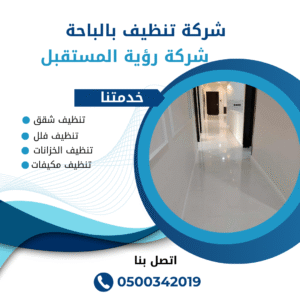 شركة تنظيف بالباحة 