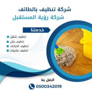 افضل شركة تنظيف منازل بالطائف