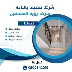 شركة تنظيف شقق بالباحة